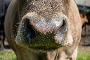 Similar image 22477621