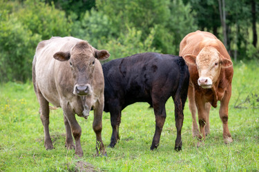 Similar image 22477622