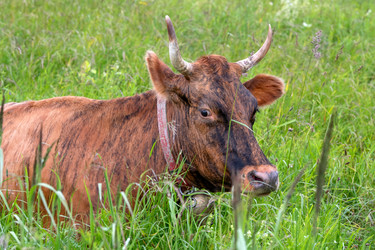 Similar image 22477626