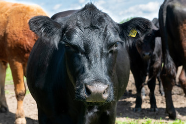 Similar image 22477627