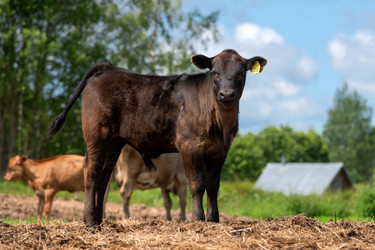 Similar image 22477633