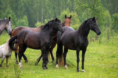 Similar image 22477635