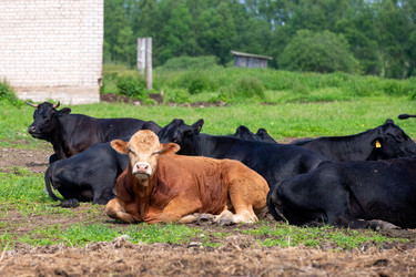 Similar image 22477638