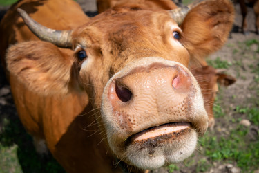 Similar image 22477640