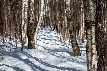 Similar image 22477641