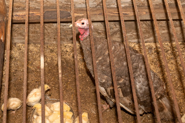 Similar image 22477642