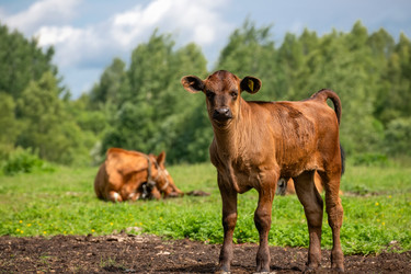 Similar image 22477647