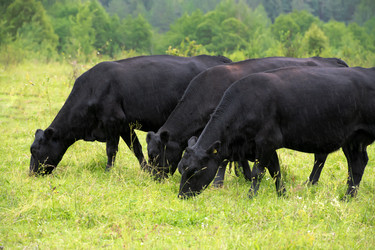 Similar image 22477648