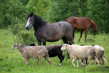 Similar image 22477650