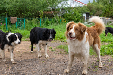 Similar image 22477653