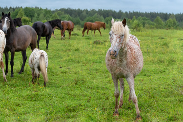 Similar image 22477654