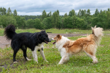 Similar image 22477656