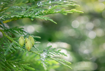 Similar image 22477665