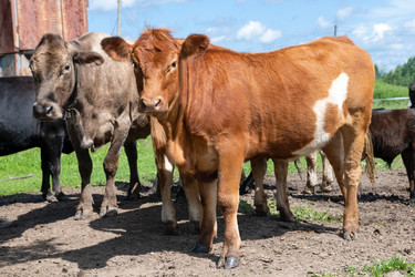 Similar image 22477667