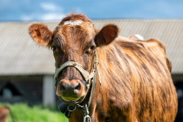 Similar image 22492317