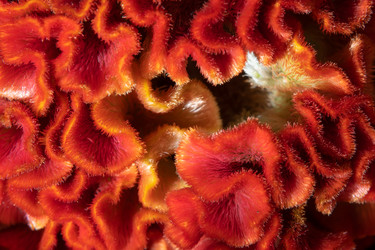 Similar image 22492334