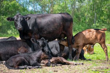 Similar image 22477681