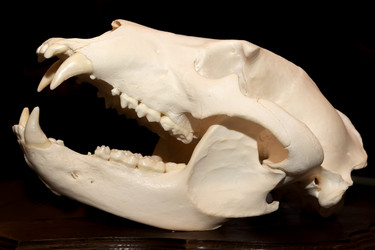 Similar image 22477682