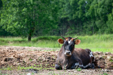 Similar image 22477683