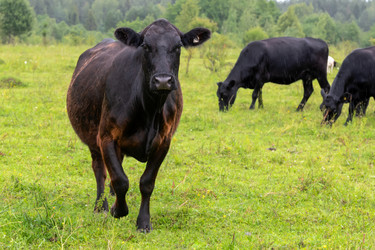 Similar image 22477685