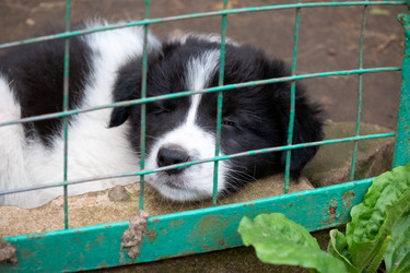 Similar image 22477687