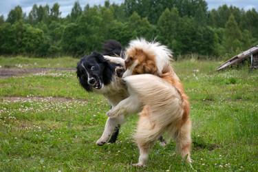 Similar image 22477694