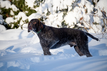 Similar image 22477695