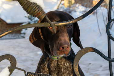 Similar image 22477696