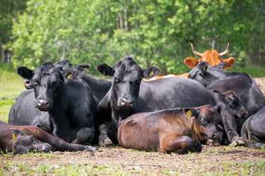 Similar image 22477698