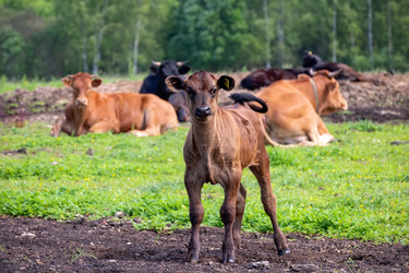 Similar image 22477699