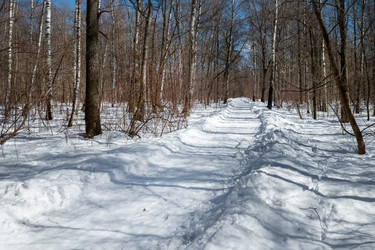 Similar image 22477700