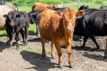 Similar image 22477701