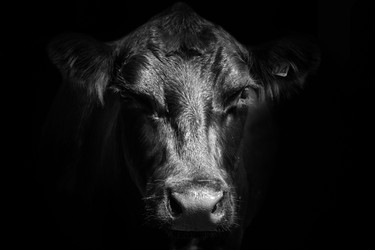 Similar image 22477702