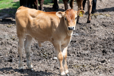 Similar image 22477713