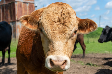 Similar image 22477717