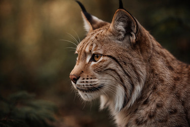 Similar image 22478482