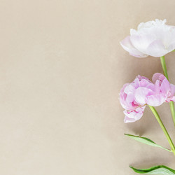 Similar image 22497778