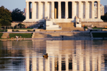 Similar image 22489668