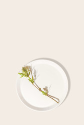 Similar image 22497826