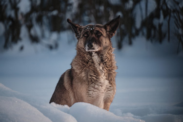 Similar image 22479950