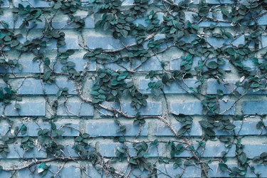 Similar image 22488196