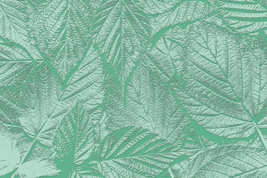 Similar image 22488197