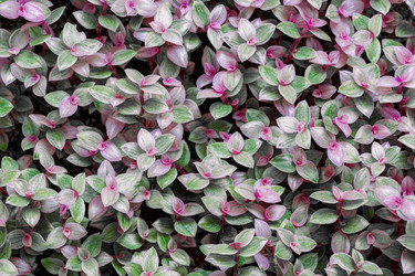 Similar image 22489147