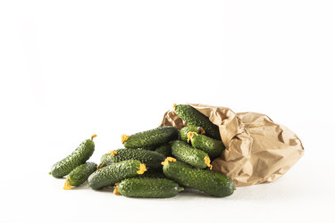 Similar image 22501779