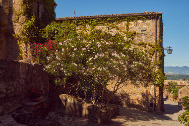 Similar image 22488153