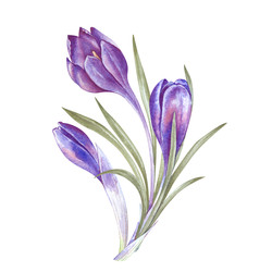 Similar image 22497712