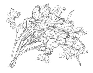 Similar image 22489290