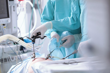 Similar image 22501784