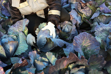 Similar image 22501799