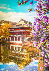 Similar image 22501627